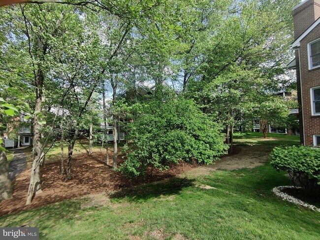 Building Photo - 3151 Covewood Ct