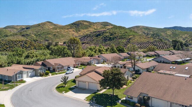 Building Photo - 42063 Village 42