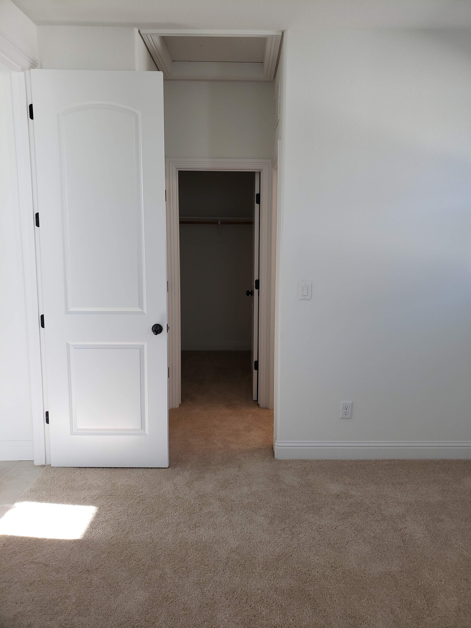 Building Photo - 1469 Terra Verde St