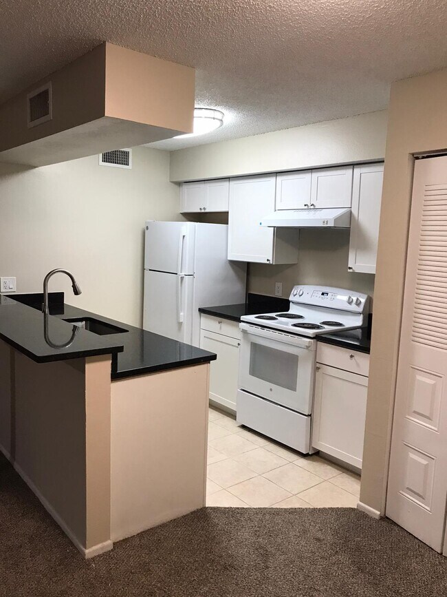 Brand new cabinets, countertops - 5321 Summerlin Rd