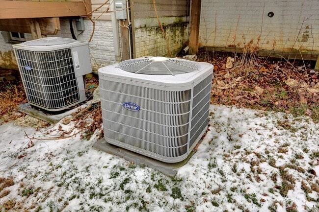 Building Photo - 3902 Cotton Tree Ln