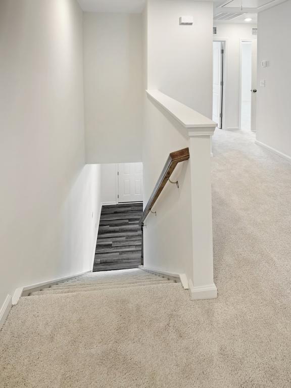 Building Photo - 252 Marelli Dr