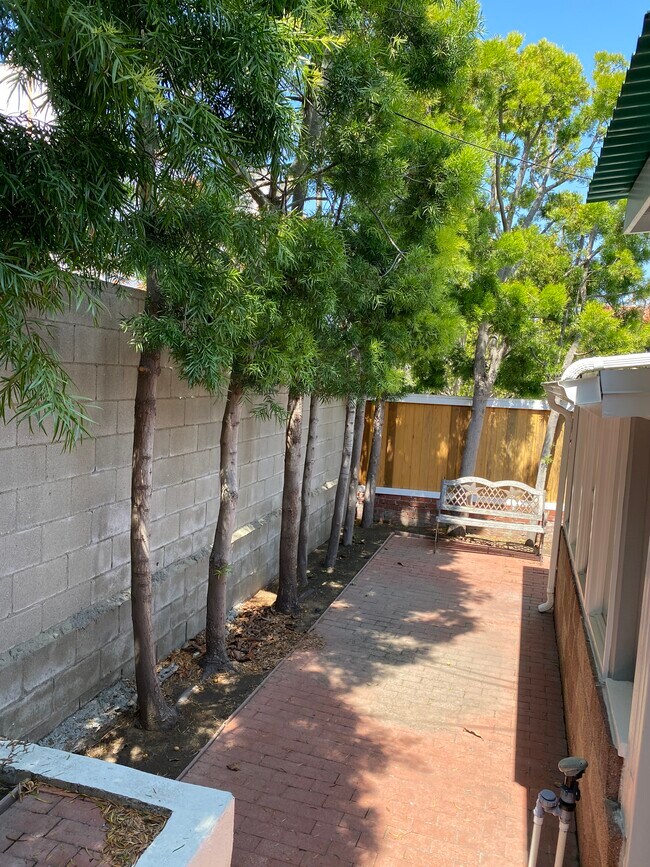 Building Photo - 3521 Pacific Ave