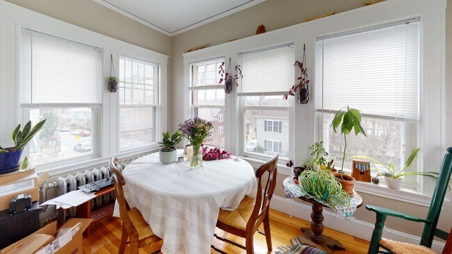 Building Photo - Beautiful 3 bed 1.5 bath in Brighton