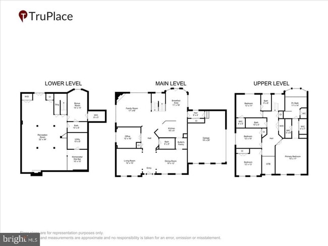 Building Photo - 905 Royal Elm Ct