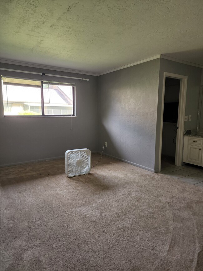 Master Bedroom - 13121 Burningtree Ave