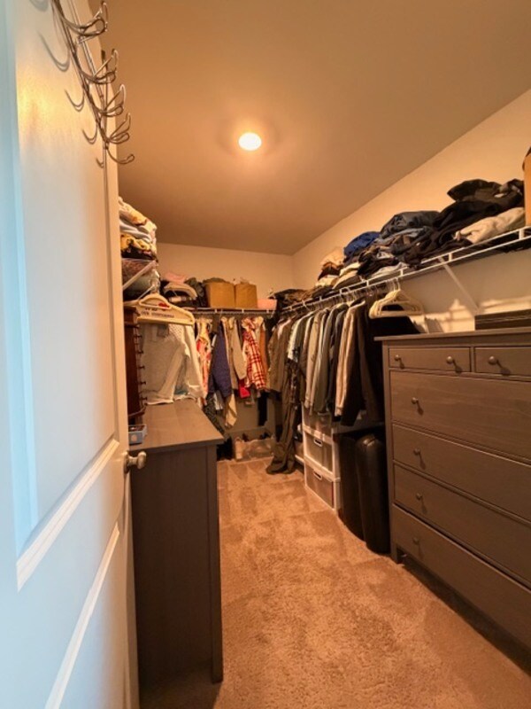 Building Photo - 532 Cricket Chirp Ln