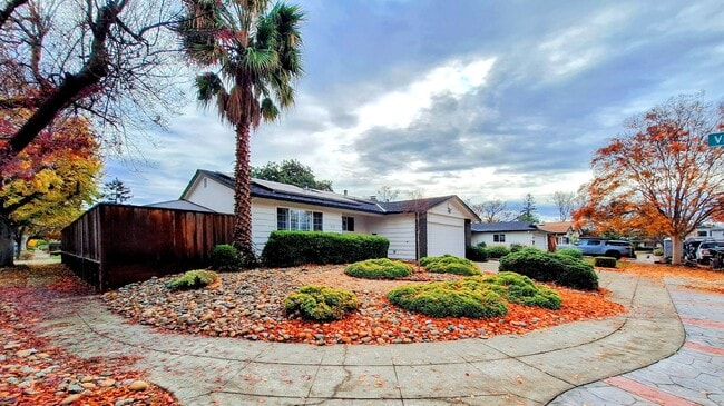 Building Photo - Beatifully Remodeled 3bd Single Story House With Pool!