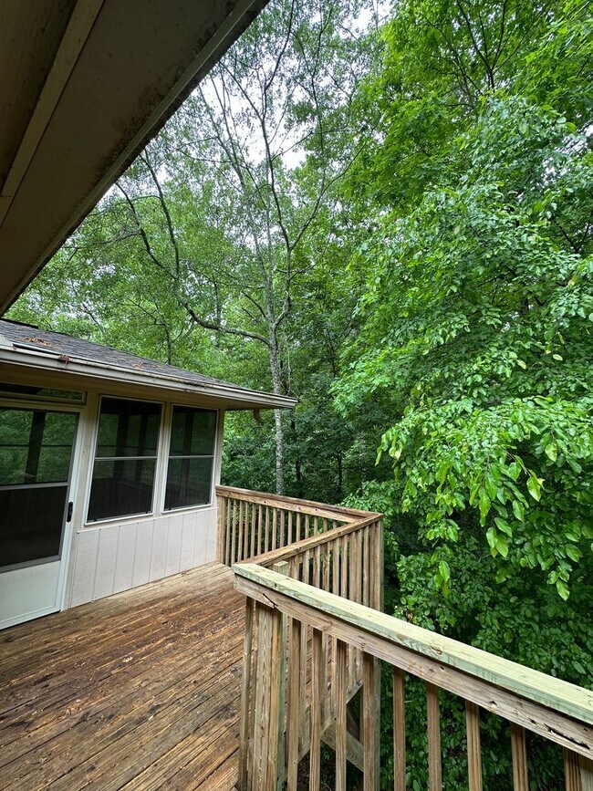 Building Photo - Available now,  3/2 with large unfinished basement, in University Heights