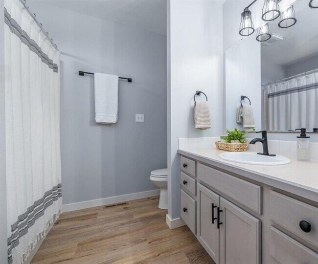 Building Photo - 4 Bedrooms • Single Level • Prime Meridian Location