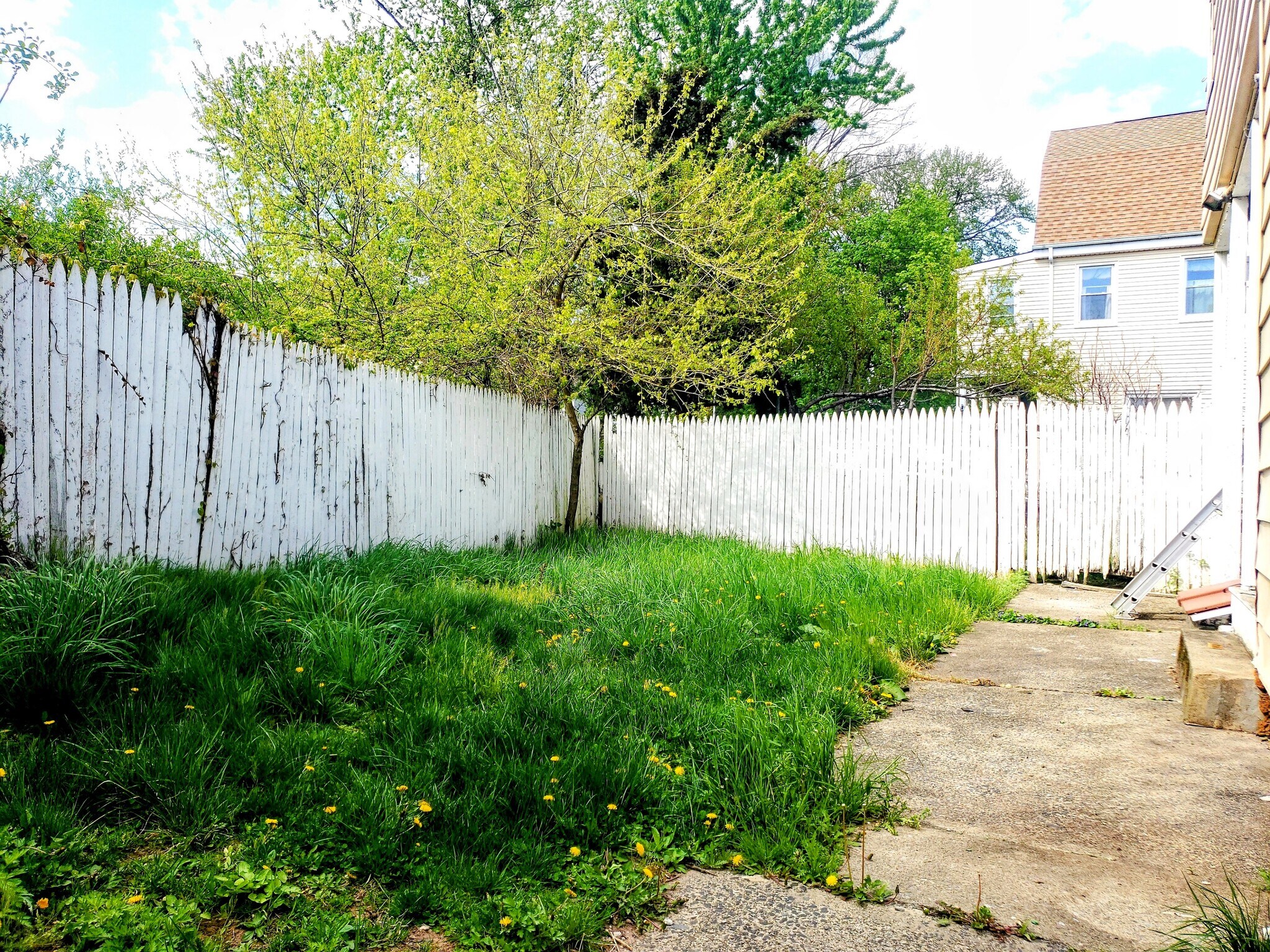 Building Photo - 33 Lafayette St