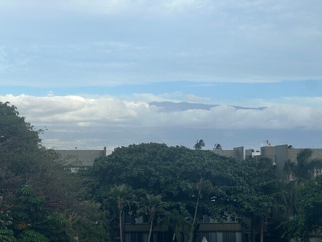Building Photo - Maui Condo
