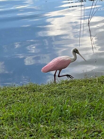 Building Photo - 387 Kelsey Park Dr