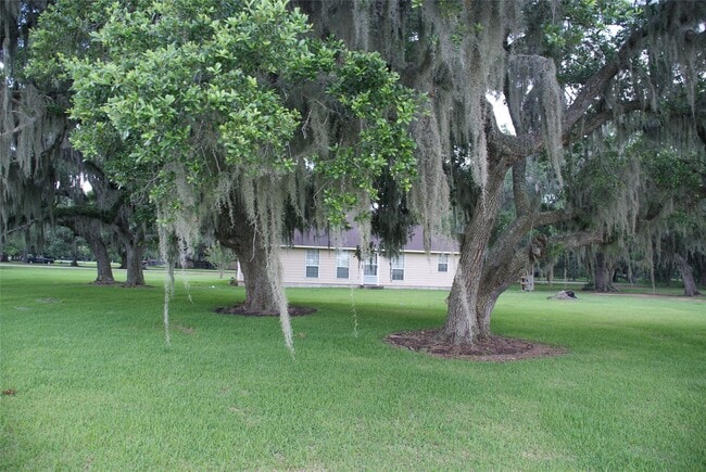 Building Photo - 8415 Reterio Dr