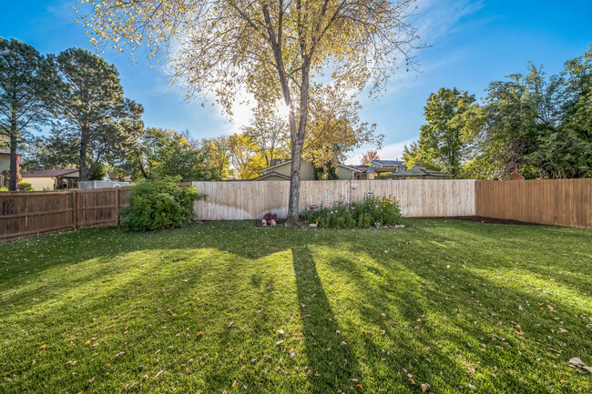 Spacious Backyard - 10482 Hoyt St