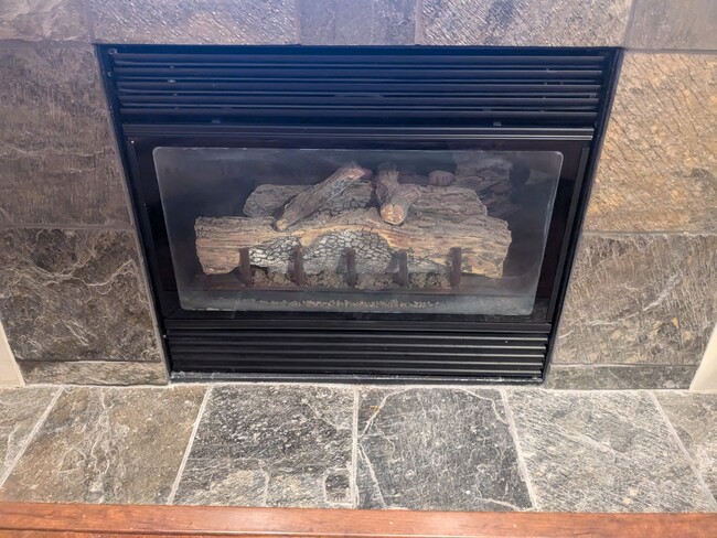 Gas fireplace - 7311 15th Ave NW