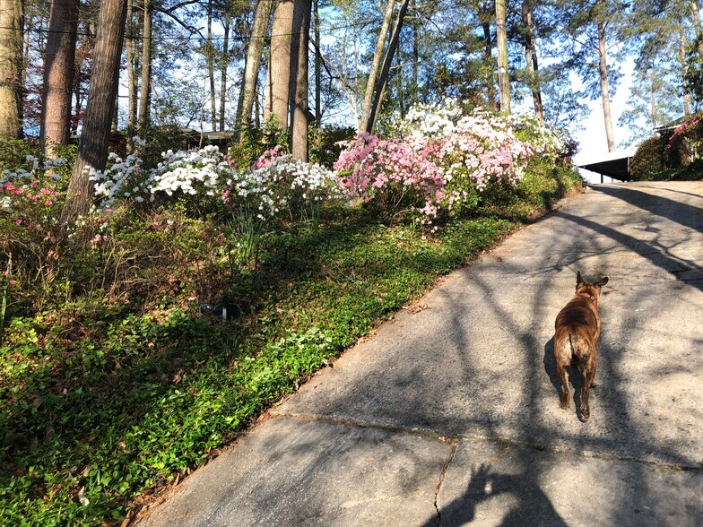 Building Photo - 796 Wesley Dr NW