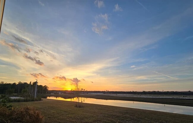 Building Photo - 4244 St Thomas Wy