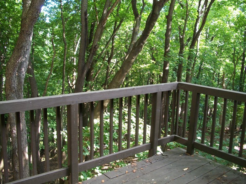 Beautiful wooded hillside views. - 206 Chateau Ln