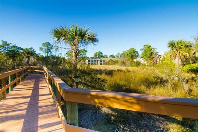 Nature Friendly - 1508 Vista Cove Rd