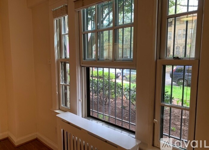 Main Extra Large Window - 2032 Belmont Rd NW