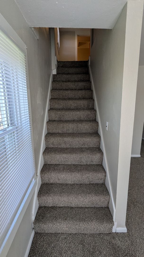 Building Photo - Welcome to this newly renovated, 4-bedroom...