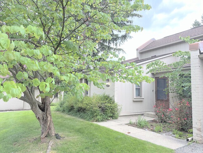 Primary Photo - 3045 Moon Lake Dr