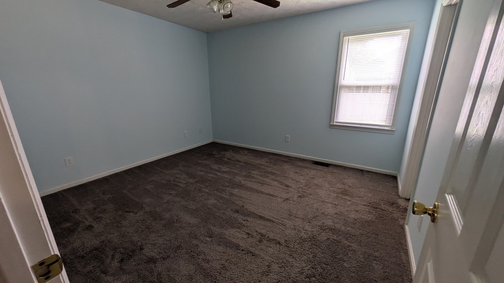 Building Photo - 629 Red Tip Cir