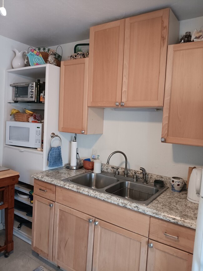 Double stainless steel sink - 12890 Spencer St
