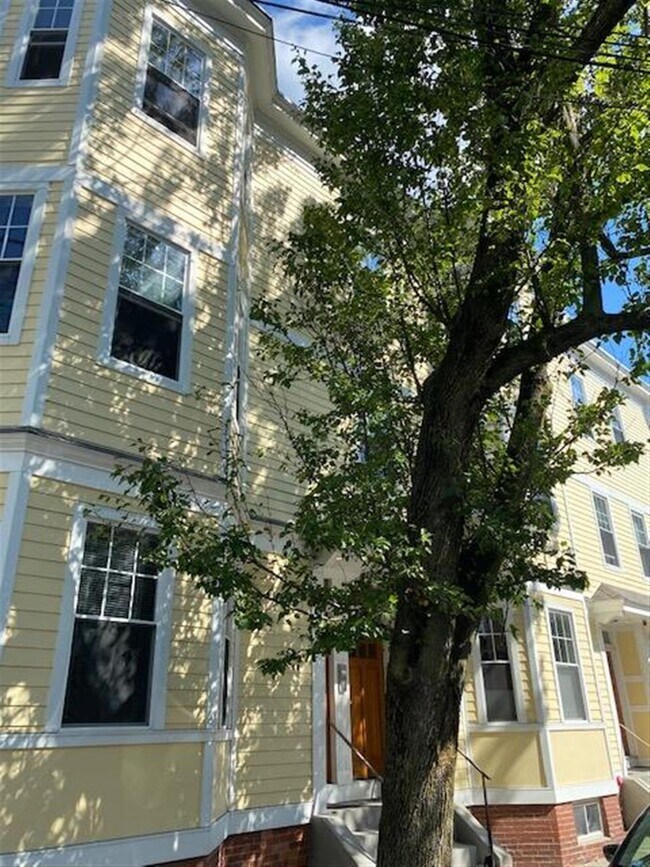 Building Photo - 7 Marney St