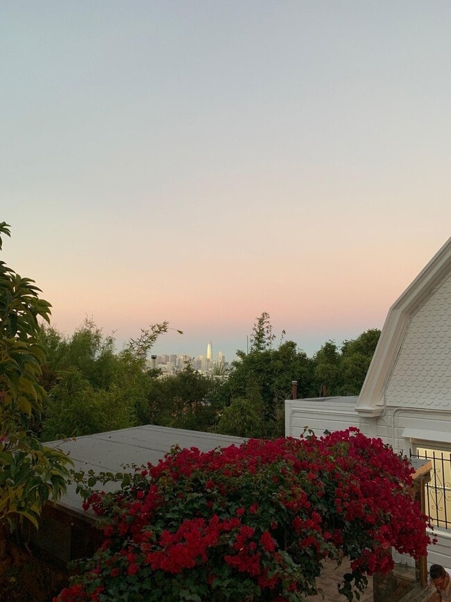 Building Photo - Dolores Heights: Sun-filled 1 Bedroom Home...