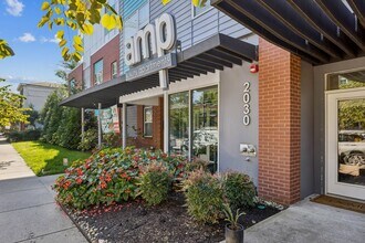 Building Photo - AMP Luxury Apartments