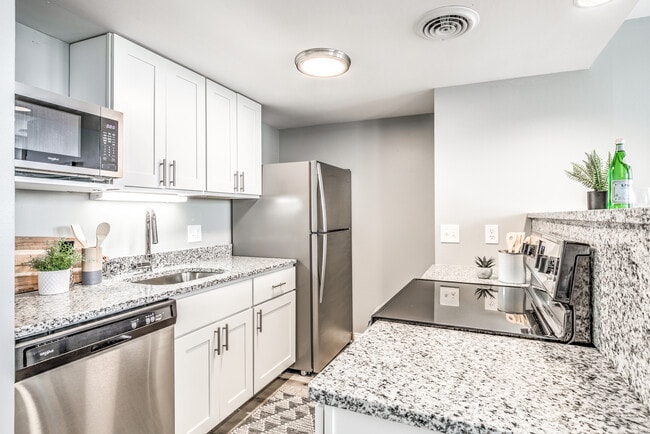 Floorplan - The Delmonte