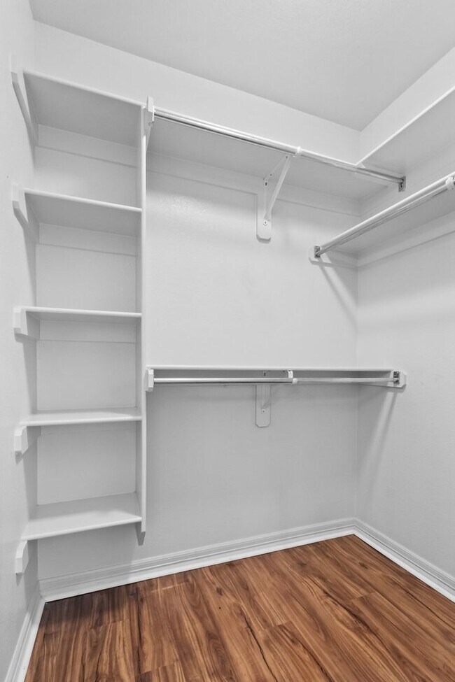 Building Photo - Come home to this gorgeous, light-filled home with an enormous and beautiful backyard!