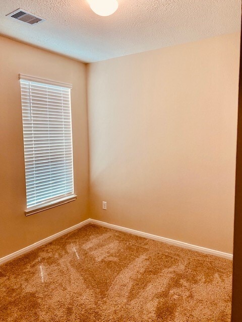 Building Photo - 17311 Rock Willow Ln
