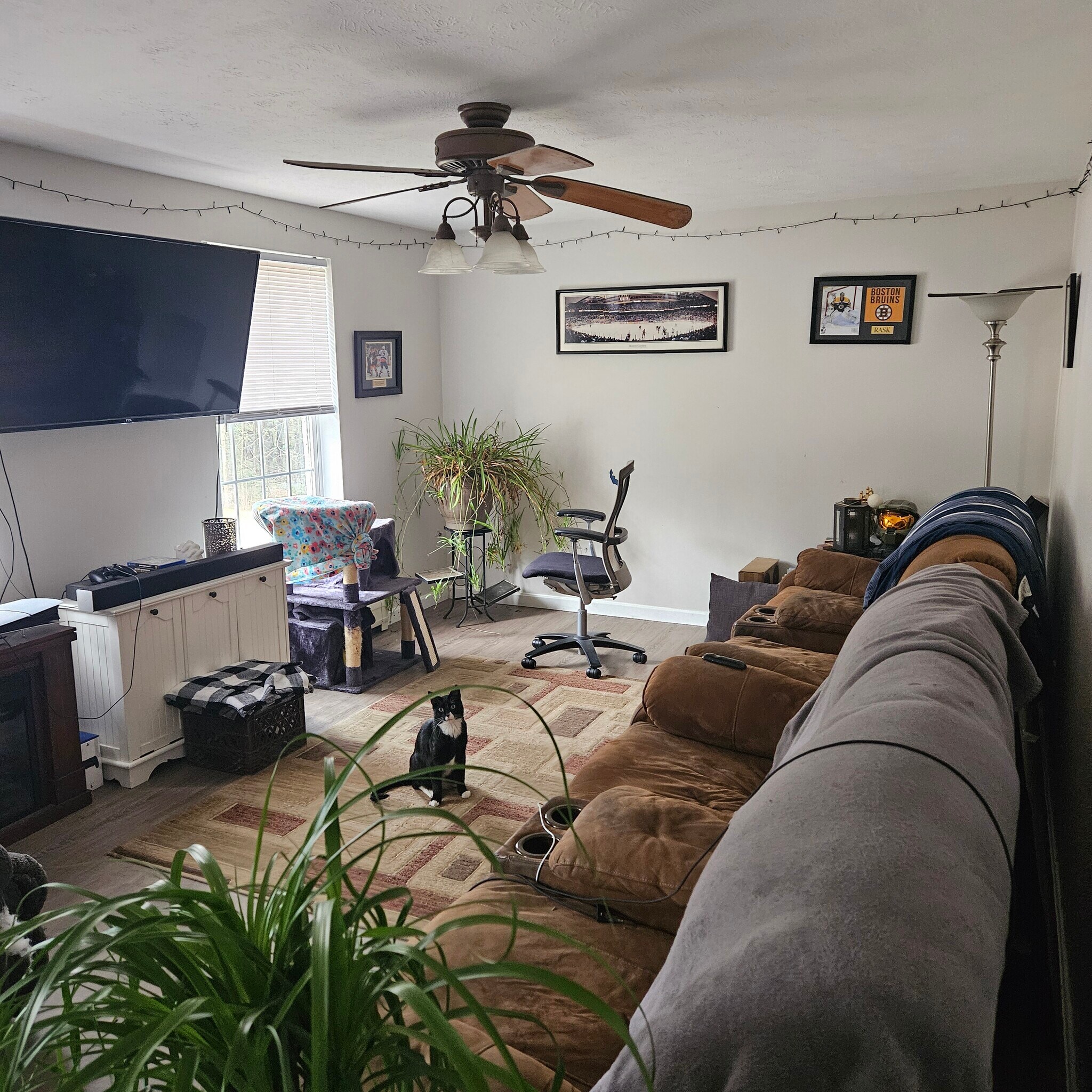 Building Photo - 137B Highrock Rd