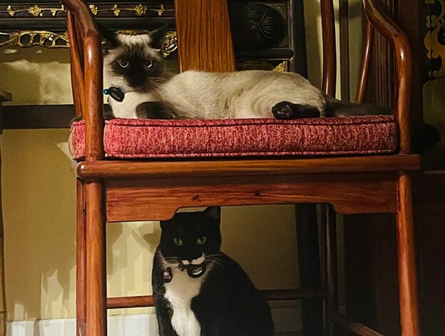 Theo & Lily - 508 E Grove Ave