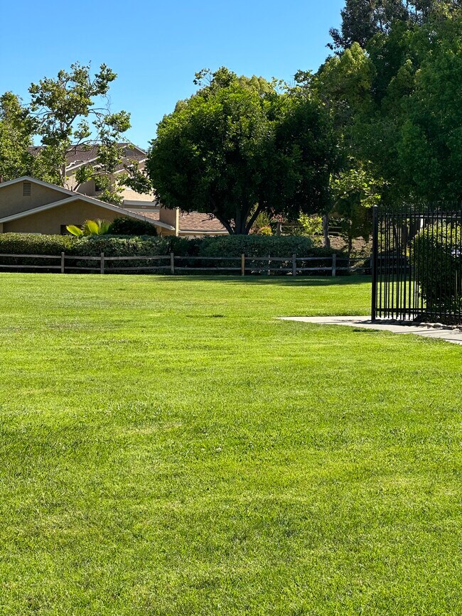 Open Space by Pool - 13784 Sycamore Tree Ln