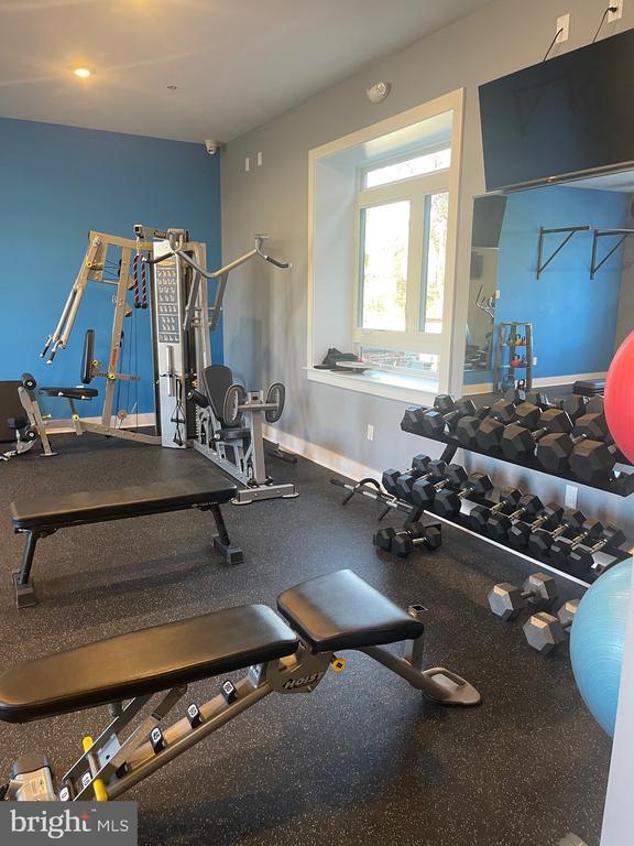 Building Photo - 4007 Ridge Ave