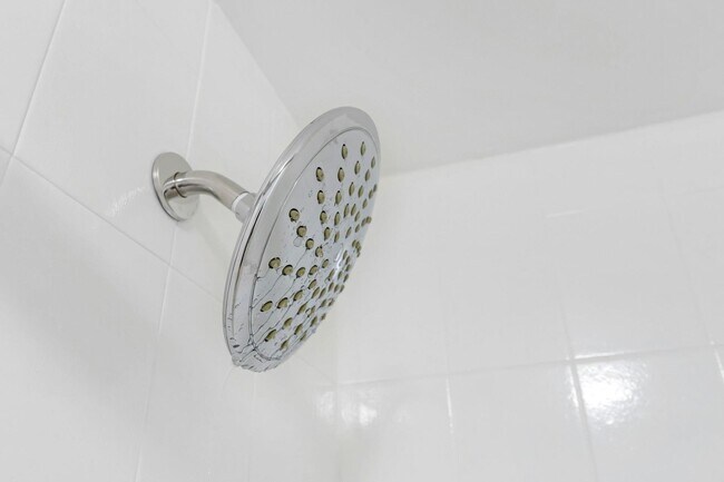 Building Photo - 65 St Pauls Ave