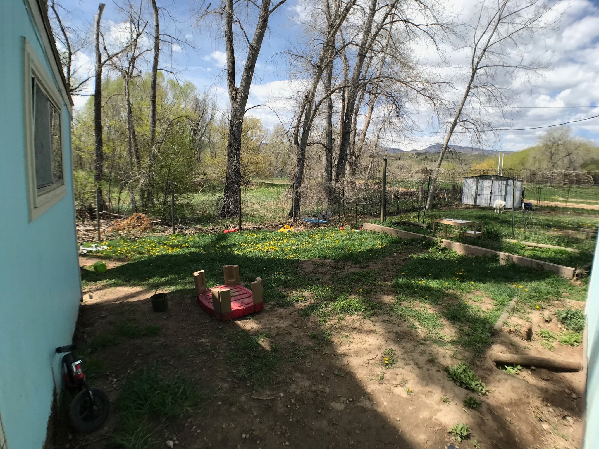 Yard is fenced in for your dogs - 3529 Vernon Drive