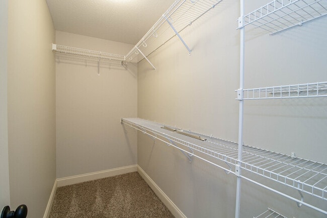 Building Photo - 2329 Spike Ct