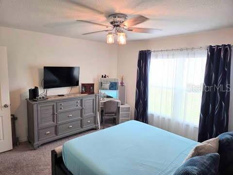 Building Photo - 1241 Denali Dr