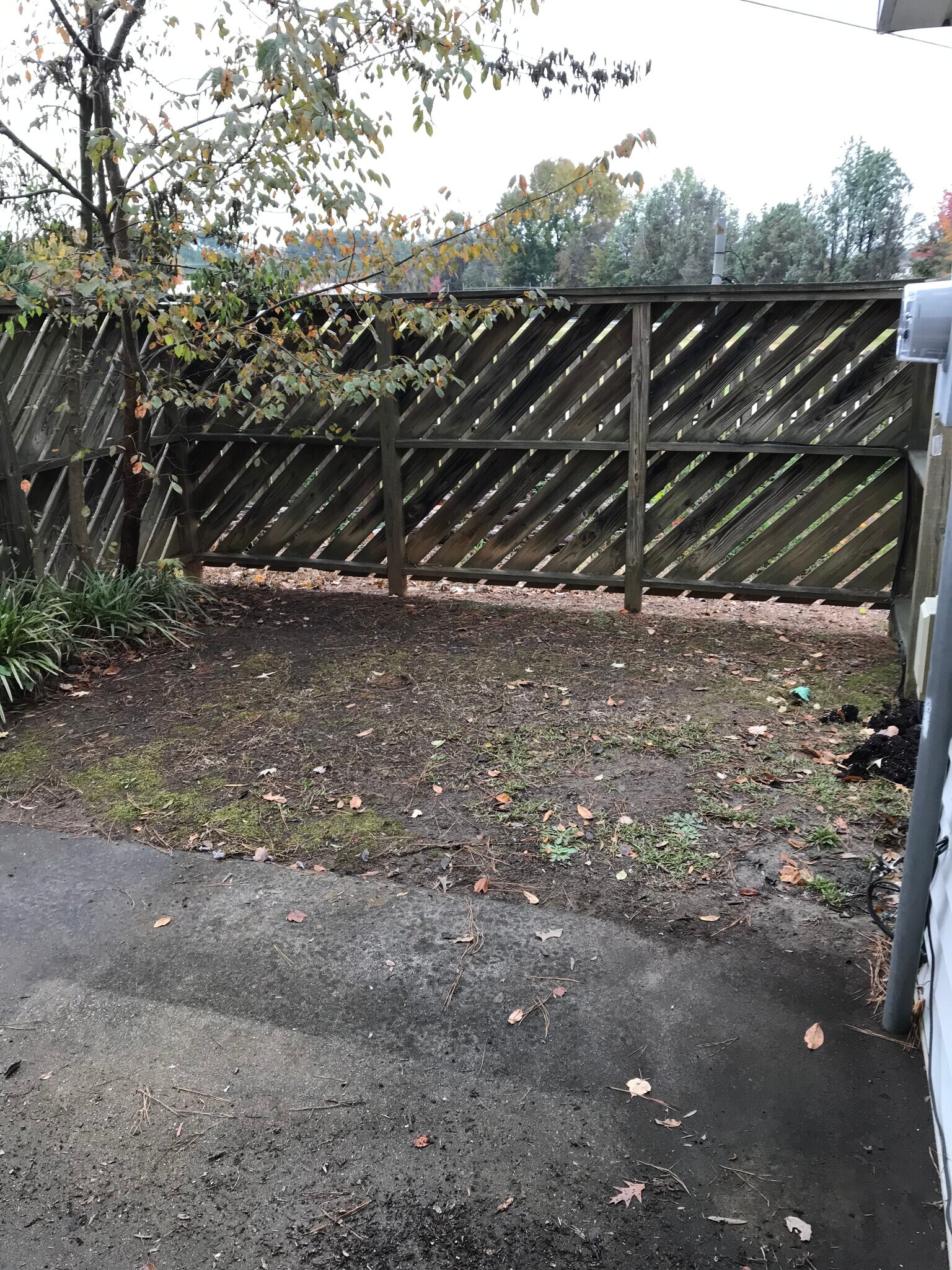 Personal patio - 141 Country Village Ct