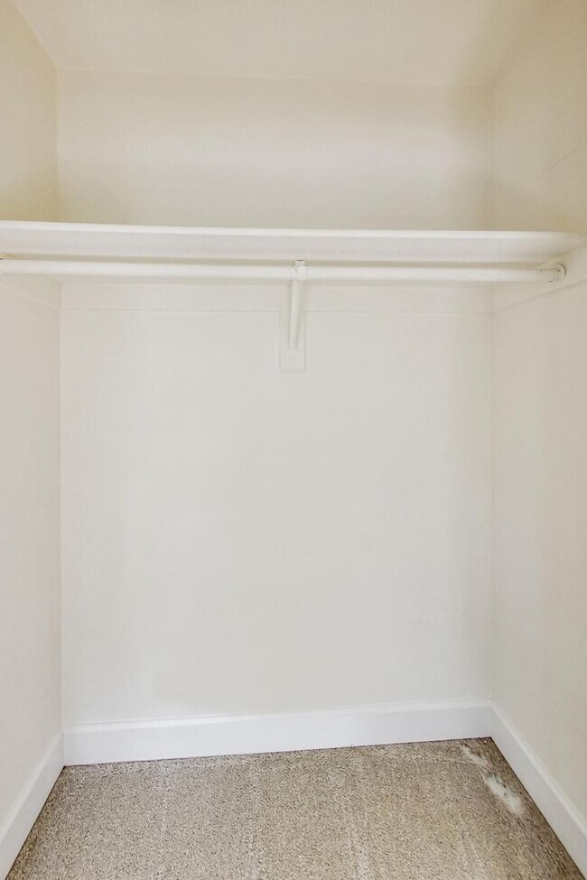 Building Photo - Cool on Cool Spring! Large SF 4 Bed + 2.5 BA