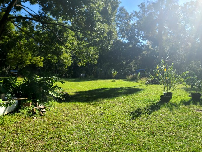 View of the backyard - 1769 N Crooked Branch Dr