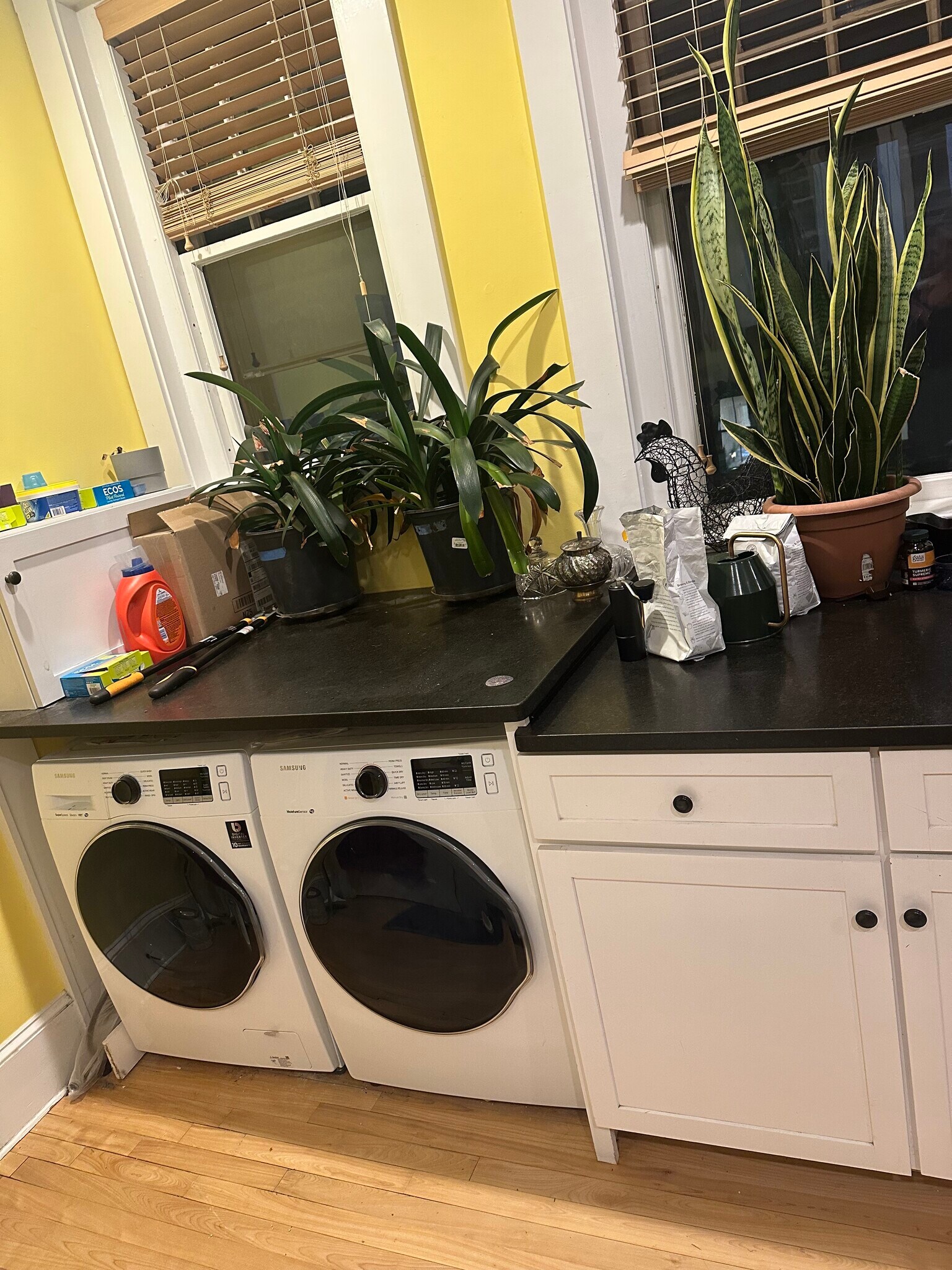 Building Photo - 336 Washington St