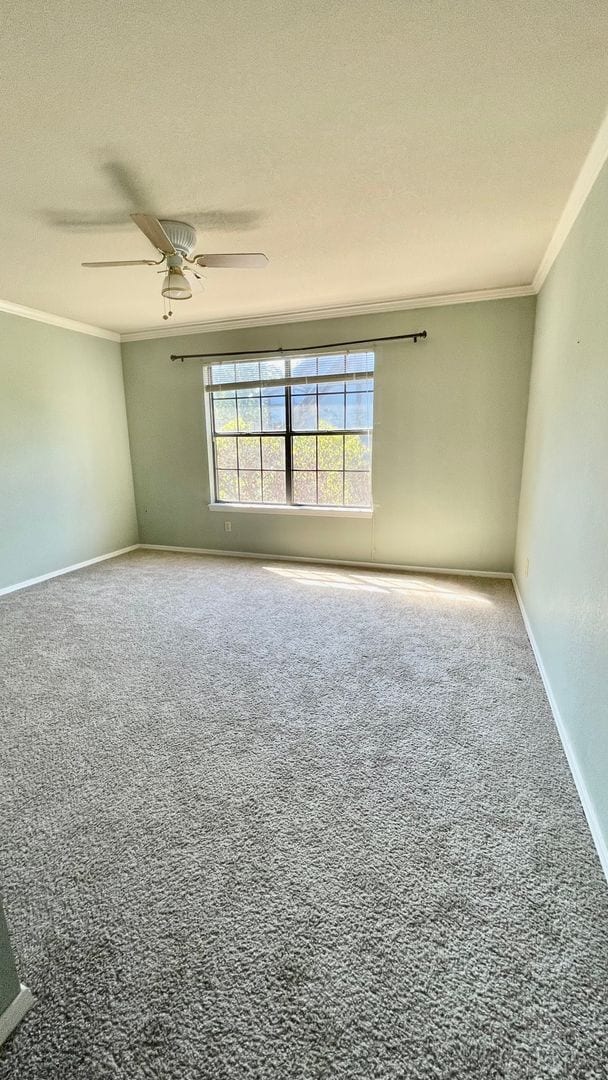 Building Photo - Gorgeous Pool Home w/ 4bd /2.5ba/Fireplace