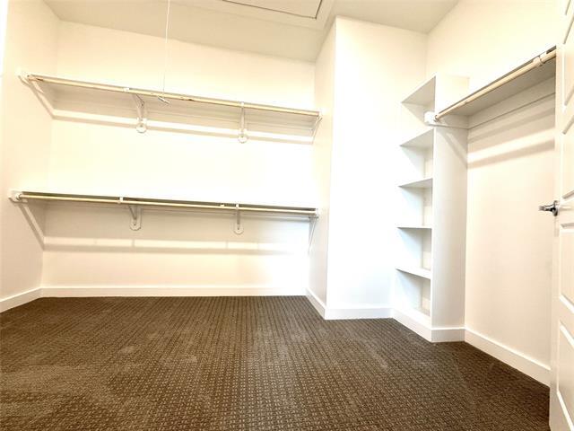Building Photo - 2239 Moonflower Ct