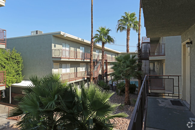 Courtyard - Palm Garden